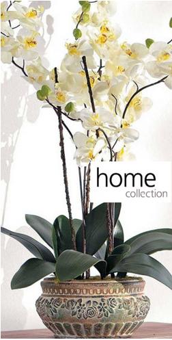 Home Collection Moebel