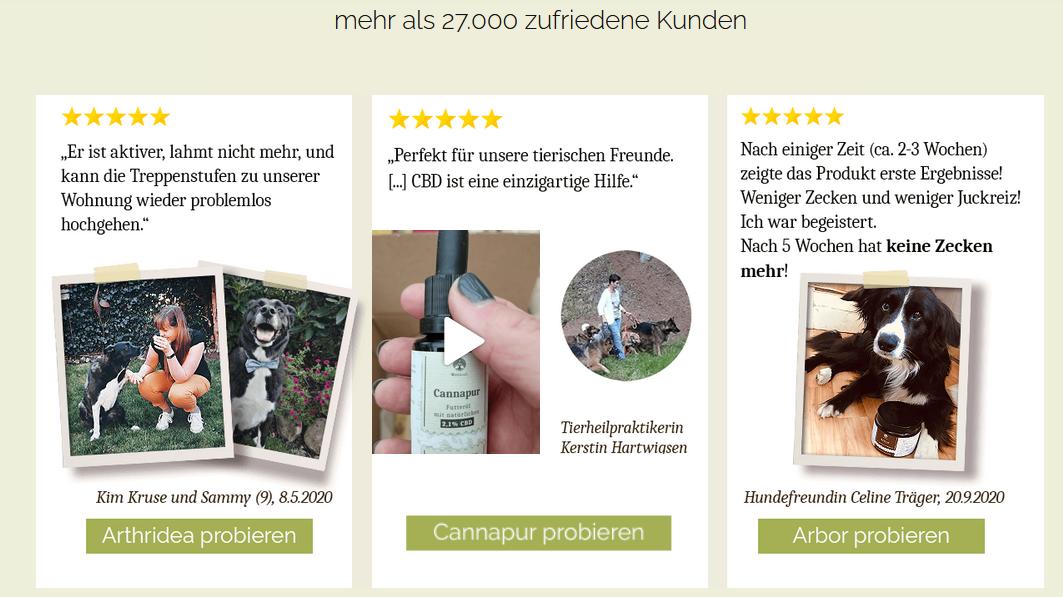 Waldkraft Bewertung