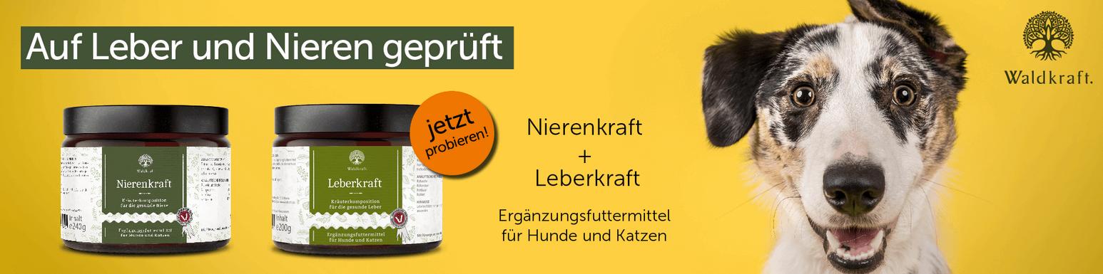 Waldkraft Waldkraft